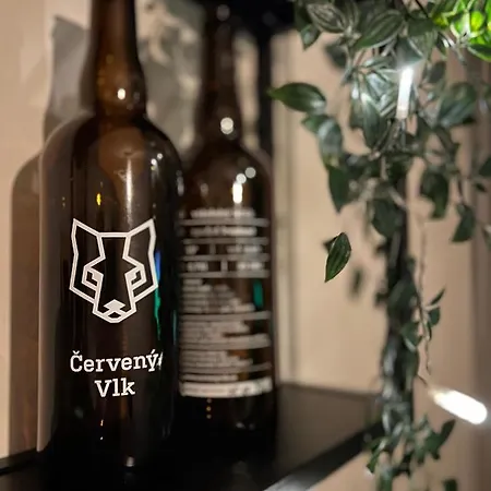 Nelis Klínovec Apartmán Loučná pod Klínovcem