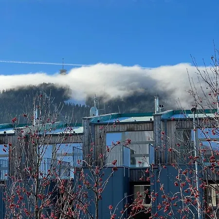 Nelis Klínovec * Loučná pod Klínovcem