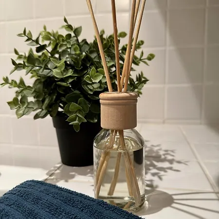 Nelis Klinovec Appartement