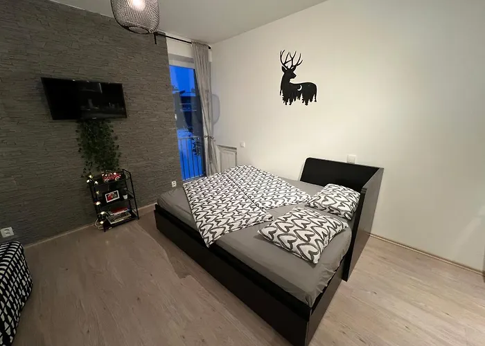 Lejlighed Nelis Klinovec