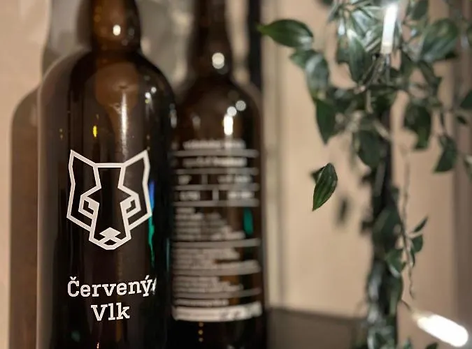 Nelis Klinovec Lejlighed Loučná pod Klínovcem