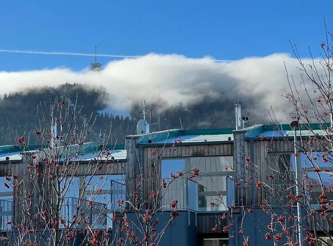 Nelis Klinovec * Loučná pod Klínovcem