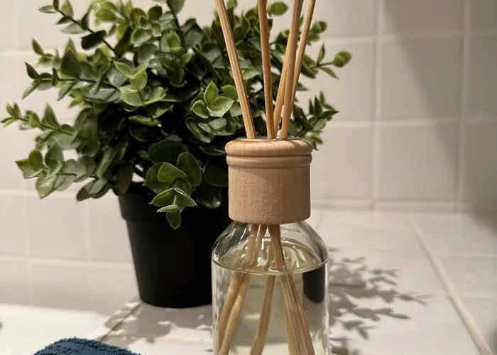 Nelis Klinovec Lejlighed